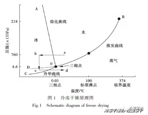 真空冷凍干燥機工作原理